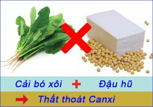 9 thực phẩm xung khắc với rau mồng tơi cần chú ý