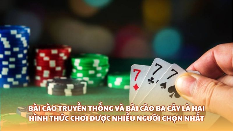 Bài cào là gì? Thông tin về bài cào mới nhất 2024