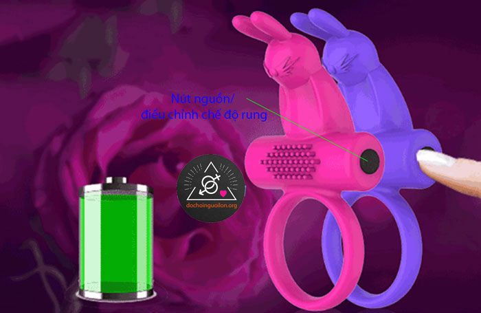 Vòng rung
