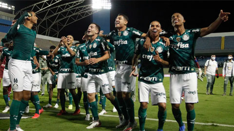 Tổng Quan CLB Palmeiras Và Những Điều Thú Vị Bạn Cần Biết