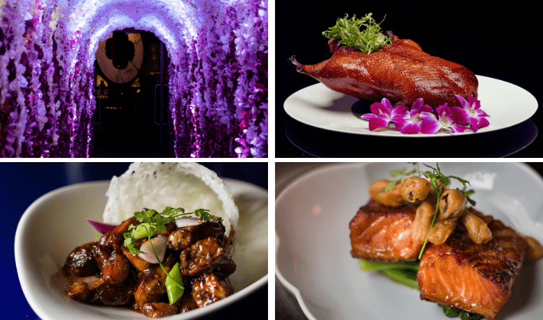 maid o money free spins 150