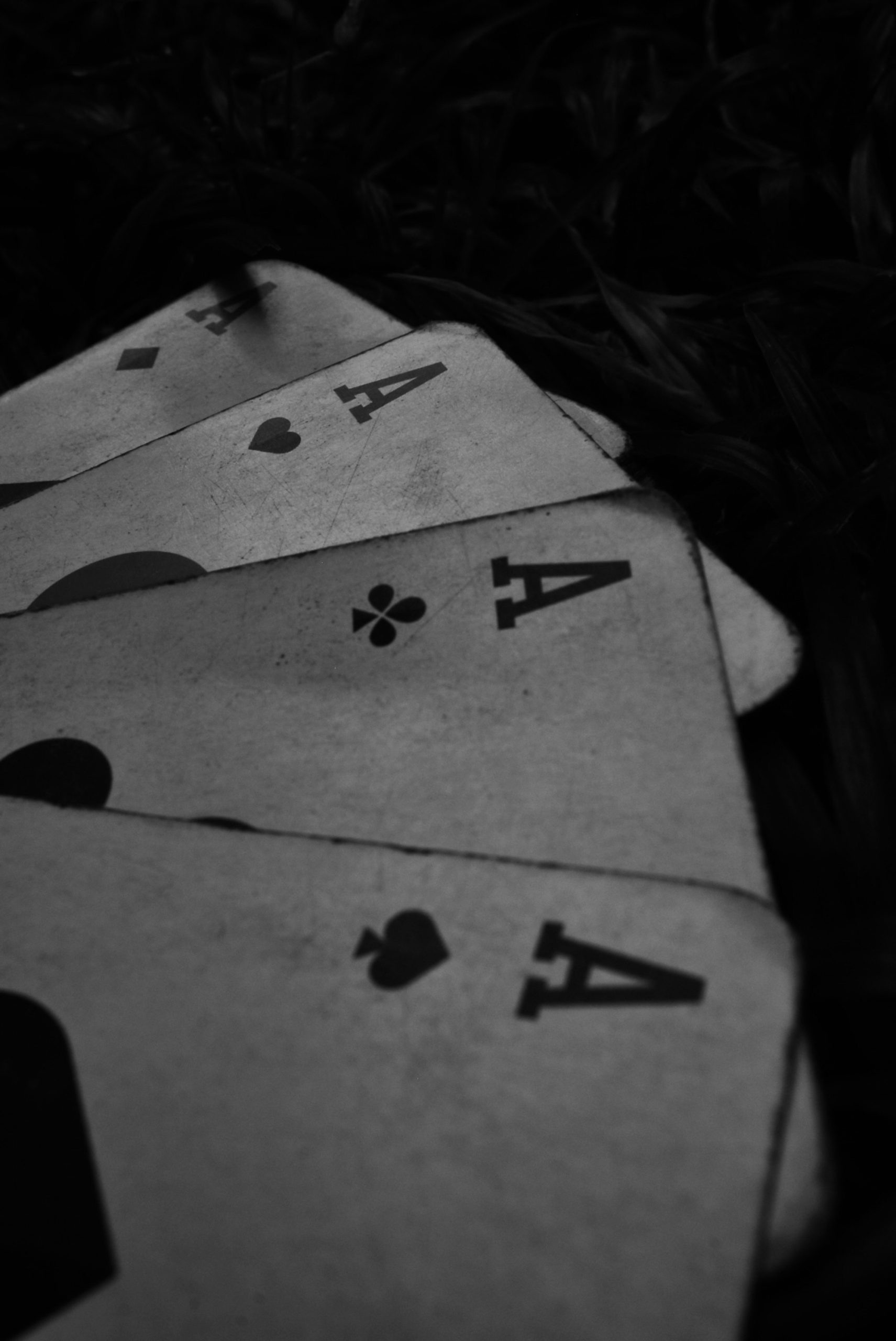 Discover the thrill of live casino gaming adventures