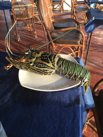 casino slot magic fruits 81